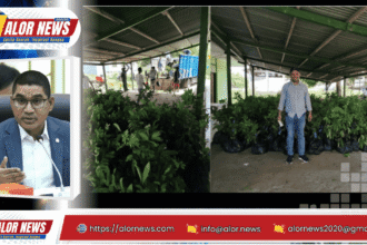 Ahmad Yohan Salurkan 17 Ribu Bibit Buah untuk Petani Alor