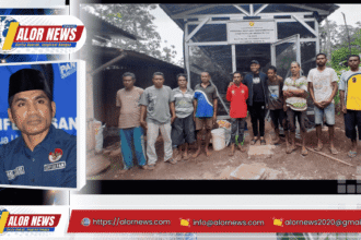 Ahmad Yohan menyalurkan 600 ayam petelur lengkap dengan kandang, vaksin, dan pakan kepada Kelompok Ternak Tenang El Desa Otvai, Alor.