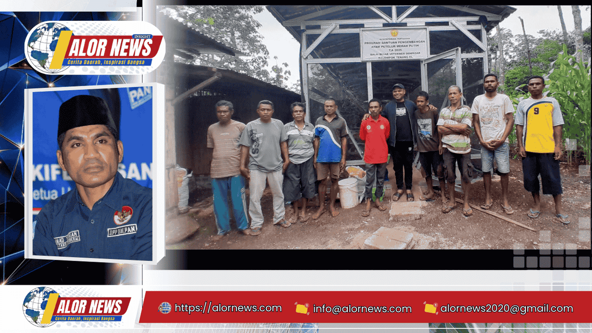 Ahmad Yohan menyalurkan 600 ayam petelur lengkap dengan kandang, vaksin, dan pakan kepada Kelompok Ternak Tenang El Desa Otvai, Alor.