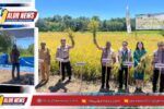 Panen perdana lahan tidur 15 hektare di Desa Pante Daere Kabola Alor